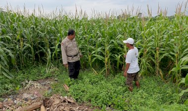 Bhabinkamtibmas-Desa-Putat-Dorong-Ketahanan-Pangan-Melalui-Pekarangan-Bergizi