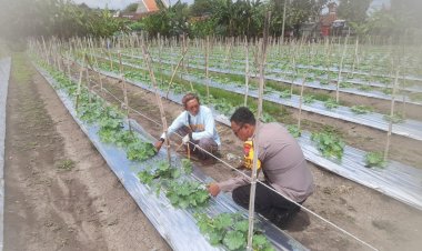 Bhabinkamtibmas-Desa-Wonoplintahan-Laksanakan-Pengecekan-Lahan-P2B