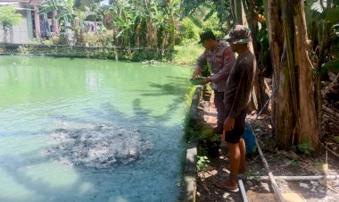 Sat-Binmas-Polresta-Sidoarjo-Apresiasi-Warga-Budidaya-Lele-Manfaatkan-Pekarangan-Kosong-untuk-Dukung-Ketahanan-Pangan