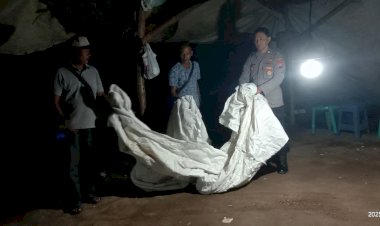 Berantas-Perjudian-Polisi-Bongkar-Arena-Sabung-Ayam-di-Nganjuk