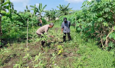 Bhabinkamtibmas-Kemantren-Koordinasi-dengan-Petani-Terong-dan-Cabai-Dukung-Ketahanan-Pangan