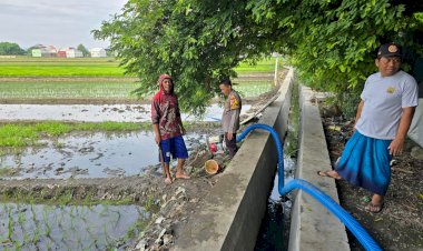 Bhabinkamtibmas-Damarsi-Dampingi-Petani-Tanam-Bibit-Padi-Unggul,-Dukung-Ketahanan-Pangan