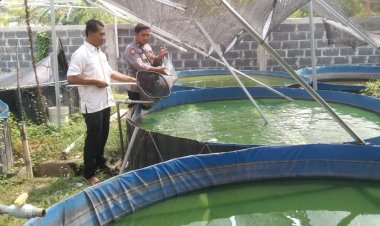 Polsek-Krian-Dampingi-Warga-Junwangi-Budidaya-Lele,-Perkuat-Ketahanan-Pangan-Polresta-Sidoarjo