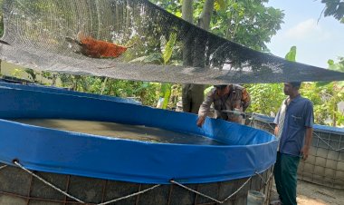 Polsek-Wonoayu-Tinjau-Progres-Lahan-Ketahanan-Pangan-Bergizi