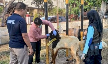 Polres-Madiun-Kota-Datangkan-Dokter-Hewan-Pastikan-Kesehatan-Hewan-Kurban