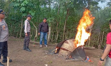 Polres-Malang-Bongkar-Arena-Judi-Sabung-Ayam-di-Kalipare