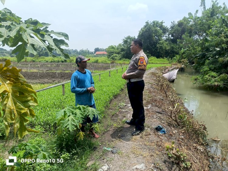 Polsek Sukodono Tinjau Pekarangan Pangan Bergizi (P2B) di Desa Jumputrejo