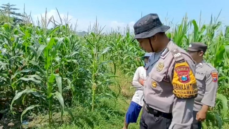 Kapolsek Balongbendo Cek Lahan Tidur Milik Bumdes untuk Ketahanan Pangan