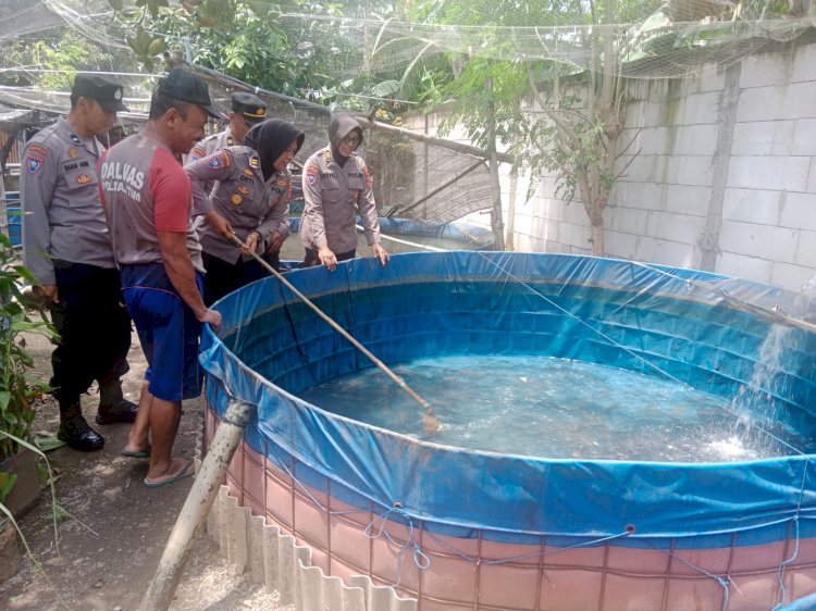 Dukung Ketahanan Pangan, Polisi di Sidoarjo Budidaya Ikan dan Kelinci