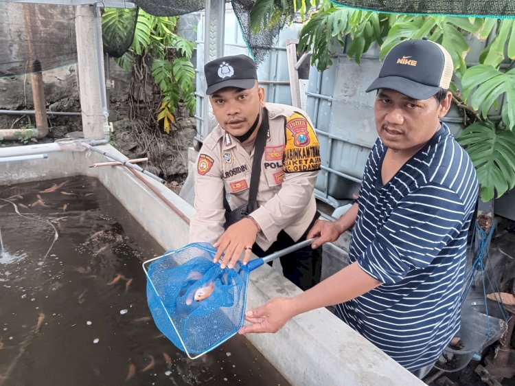 Bhabinkamtibmas Cek Kolam Ikan di Desa Ketajen, Ajak Warga Sukseskan Ketahanan Pangan