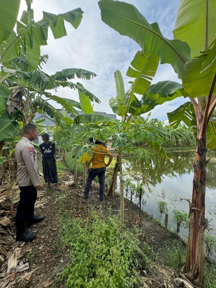 Bhabinkamtibmas Siwalanpanji Imbau Petambak Ikan Perhatikan Ketersediaan Pakan Alami untuk Sukseskan Ketahanan Pangan Nasional Saat Panen