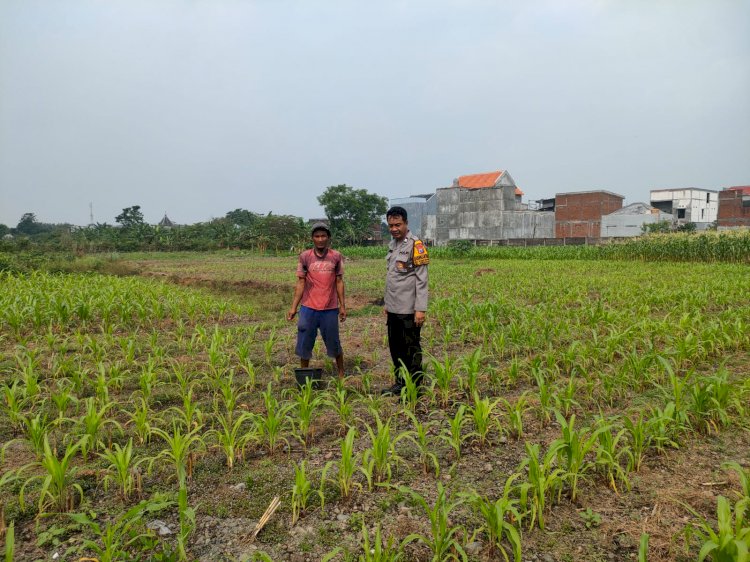 Kapolsek Gedangan Gerakkan Anggota Dampingi Warga Penggerak Ketahanan Pangan