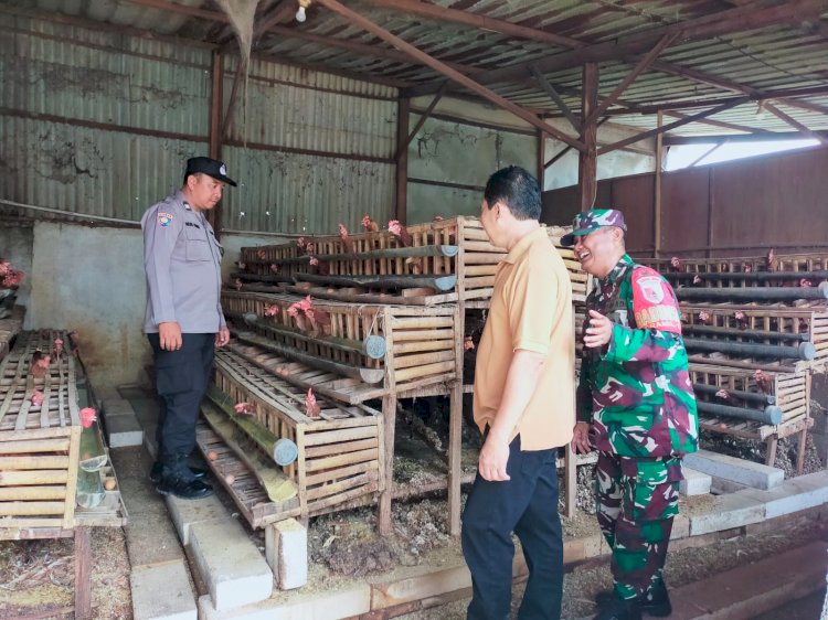Sukseskan Ketahanan Pangan, Bhabinkamtibmas Pademonegoro Edukasi Peternak Ayam Petelur