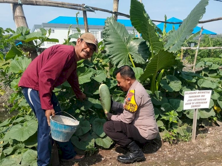 Polisi Cinta Petani Beri Tips Perawatan Labu Saat Patroli di Sedati Sidoarjo, Ini Pesannya!