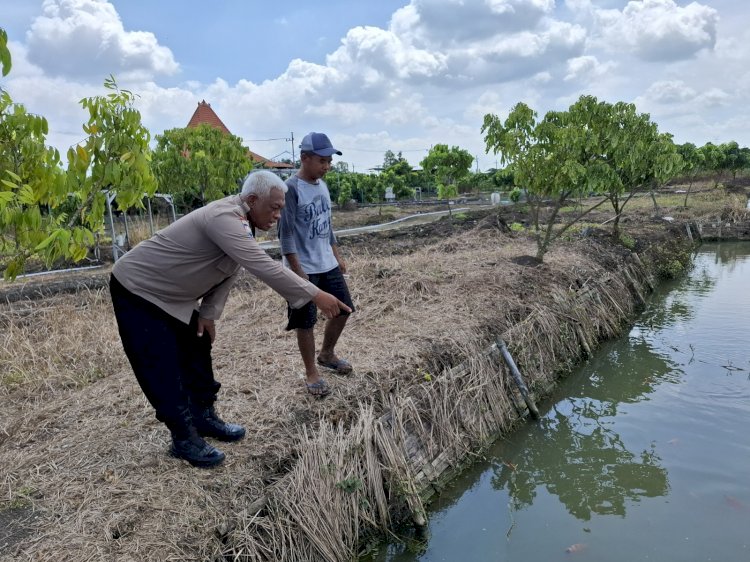 Warga Simoketawang Manfaatkan Lahan Kosong untuk Budidaya Lele, Dukung Program Ketahanan Pangan Polresta Sidoarjo