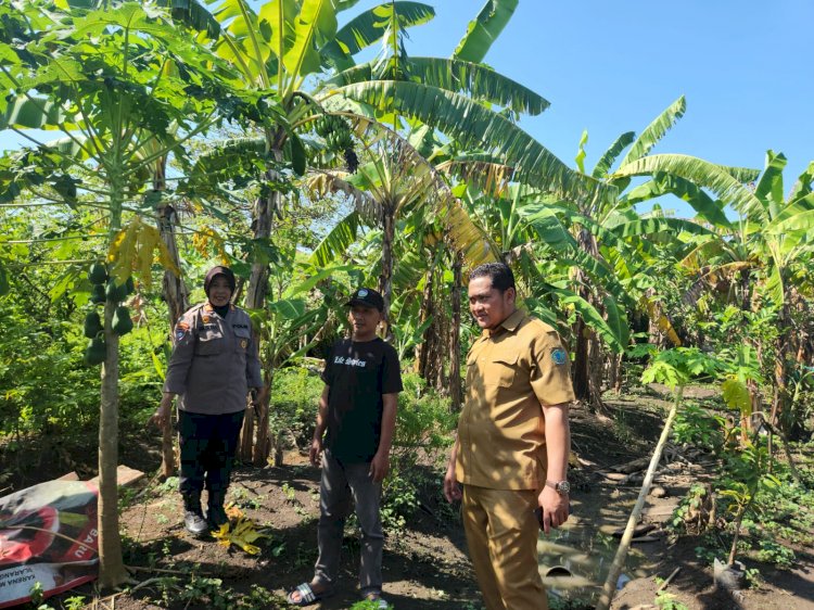 Polsek Gedangan bersama Perangkat Desa Punggul Tinjau Lahan Ketahanan Pangan Buah