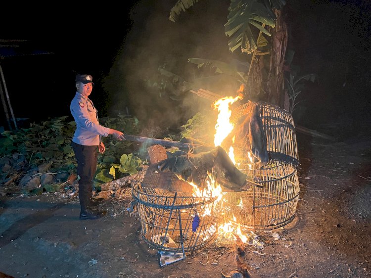 Polisi Bongkar Dua Lokasi Arena Judi Sabung Ayam di Malang