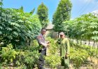 Polsek-Prambon-Dukung-Semangat-Petani-Sukseskan-Ketahanan-Pangan-Polresta-Sidoarjo