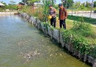 Bhabinkamtibmas-Desa-Tropodo-Tinjau-Kolam-Ikan-Bumdes-Dukung-Ketahanan-Pangan